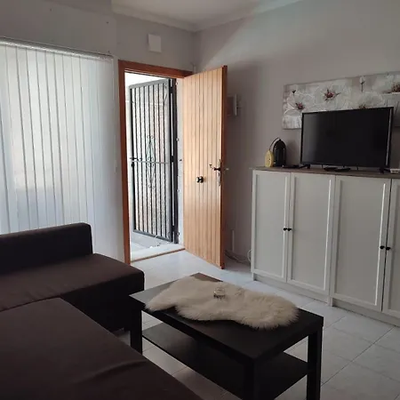 Huge Colonial Private Pool 托雷维耶哈